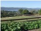 44  Glen Ard Mohr Road, Exeter TAS 7275