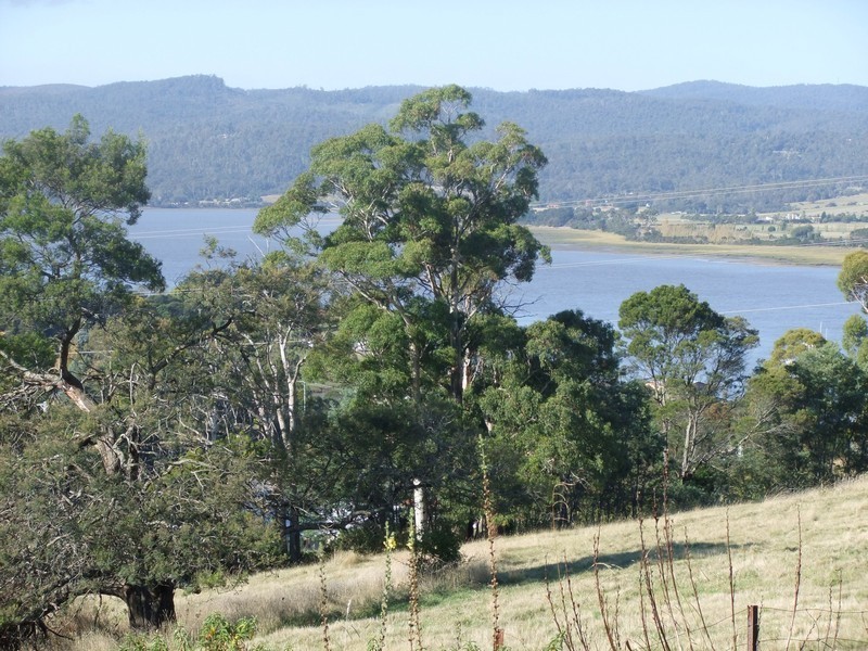 44  Glen Ard Mohr Road, Exeter TAS 7275