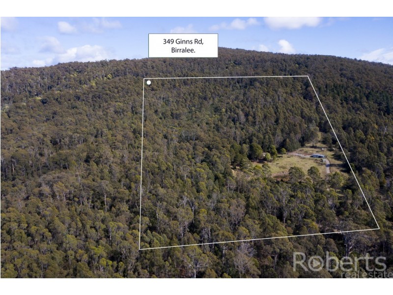 349 Ginns Road, Birralee TAS 7303