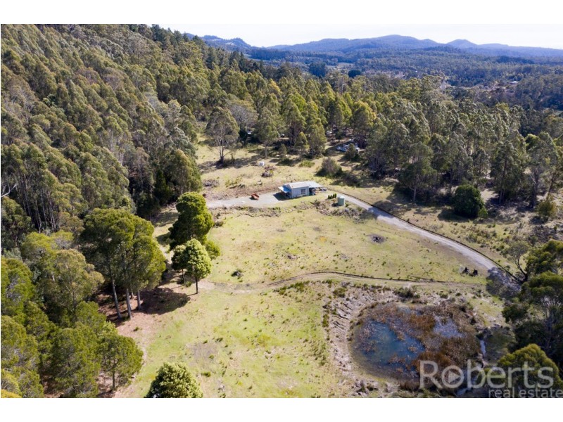 349 Ginns Road, Birralee TAS 7303