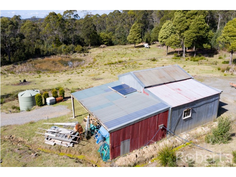 349 Ginns Road, Birralee TAS 7303