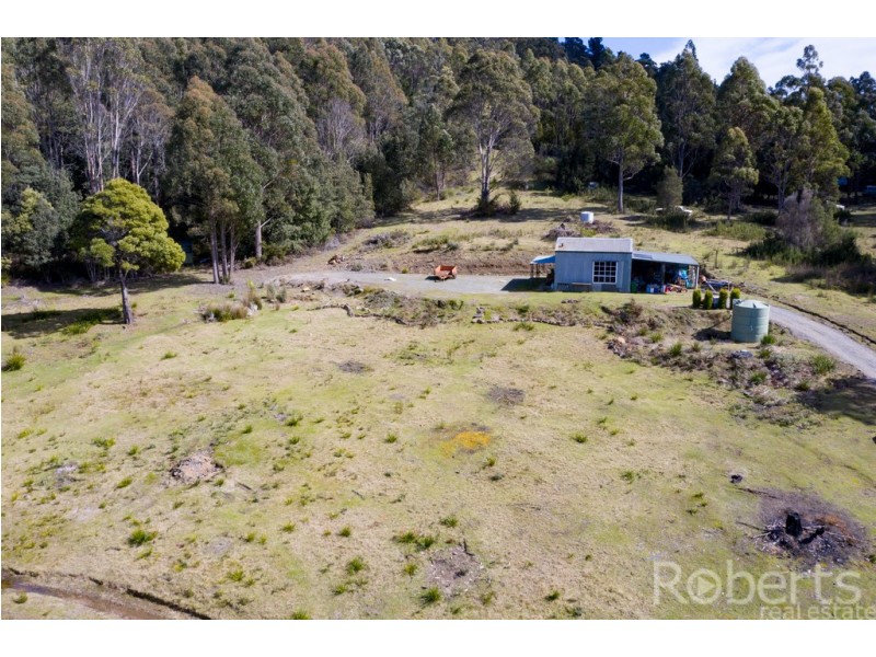 349 Ginns Road, Birralee TAS 7303