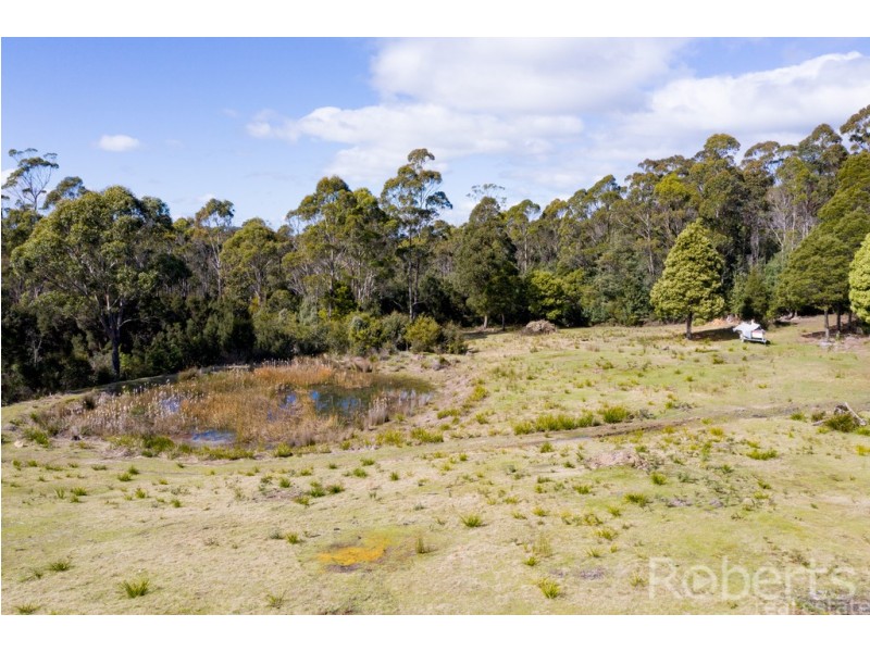349 Ginns Road, Birralee TAS 7303