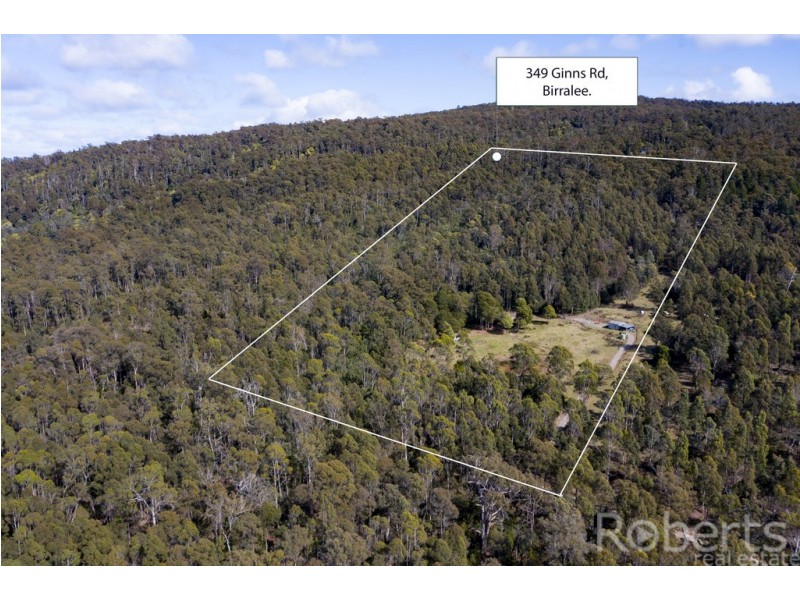 349 Ginns Road, Birralee TAS 7303