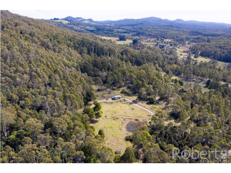 349 Ginns Road, Birralee TAS 7303