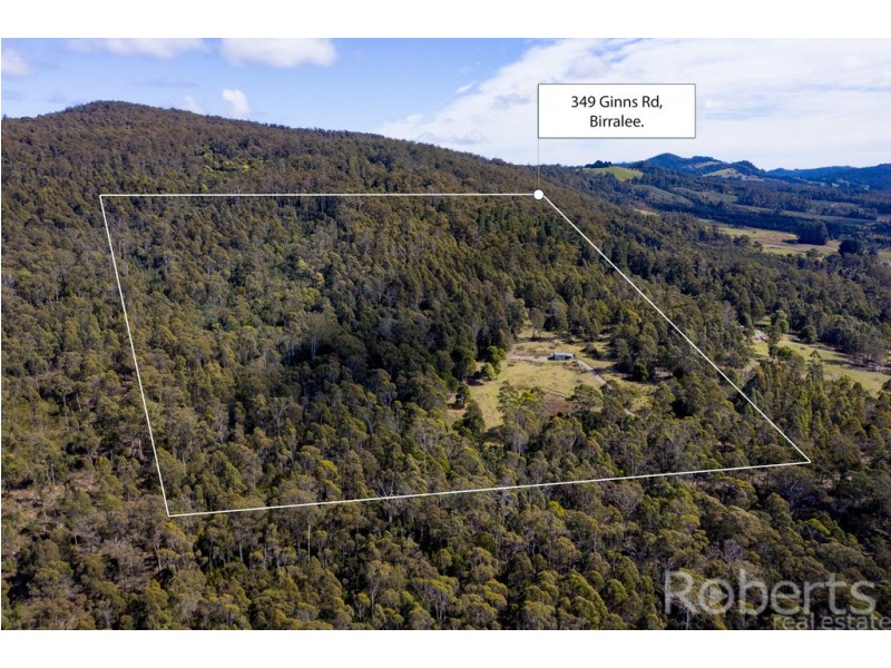 349 Ginns Road, Birralee TAS 7303