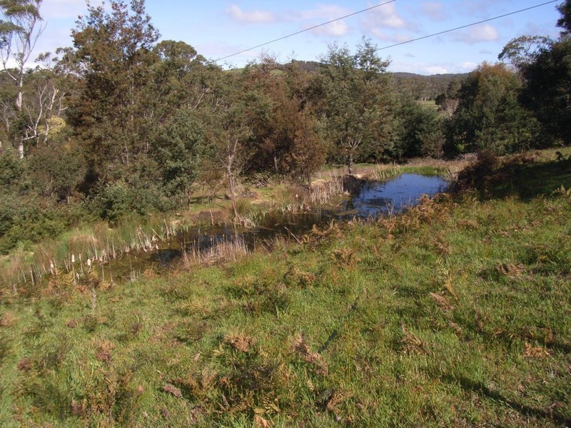 545 Greens Beach Road, York Town TAS 7270