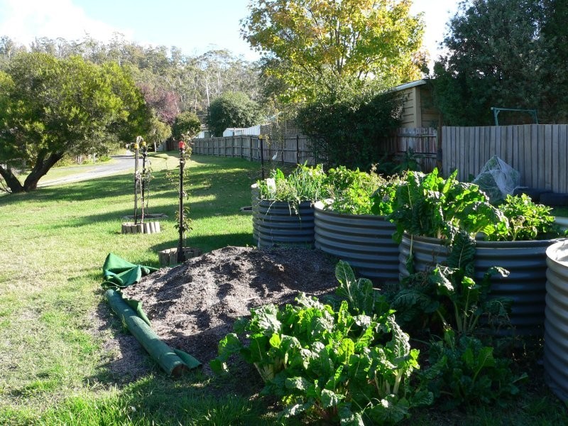 36 Main Road, Exeter TAS 7275