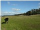 95 Bowens Road, York Town TAS 7270
