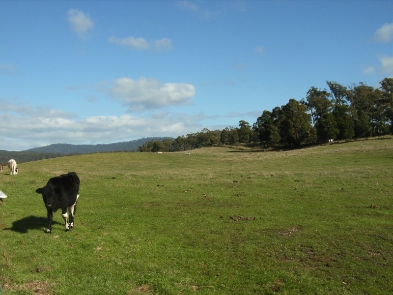 95 Bowens Road, York Town TAS 7270