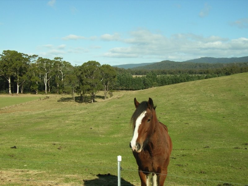 95 Bowens Road, York Town TAS 7270