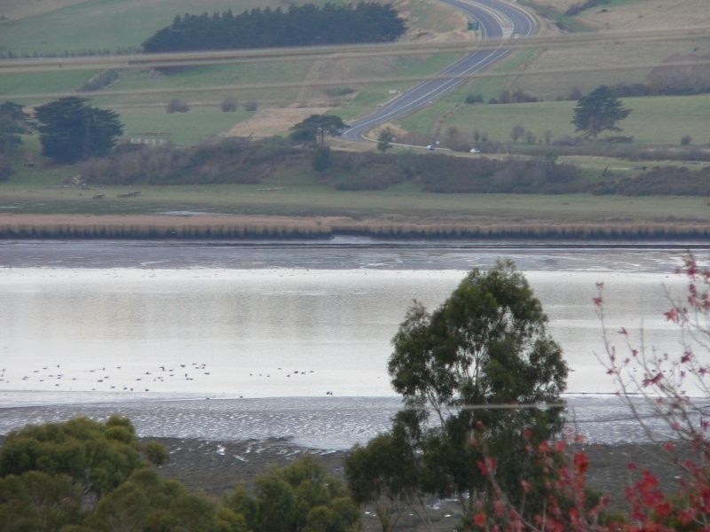 54 Cormiston Road, Riverside TAS 7250