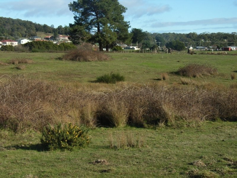10 Crowther Street, Beaconsfield TAS 7270