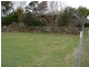 1023 Bridgenorth Road, Bridgenorth TAS 7277
