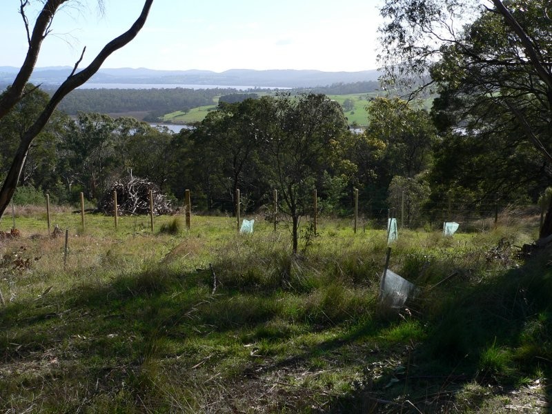 42a Brady’s Lookout Road, Rosevears TAS 7277