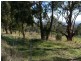 42a Brady’s Lookout Road, Rosevears TAS 7277