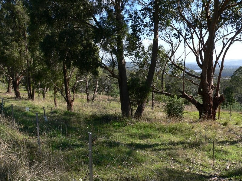 42a Brady’s Lookout Road, Rosevears TAS 7277