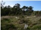 42a Brady’s Lookout Road, Rosevears TAS 7277