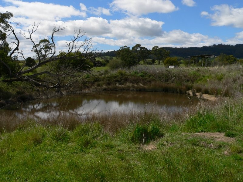 77a Loop Road, Glengarry, Glengarry TAS 7275
