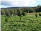 141 O’Reilly’s Road, Winkleigh TAS 7275