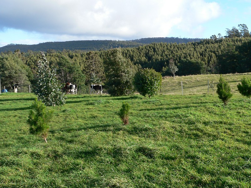 141 O’Reilly’s Road, Winkleigh TAS 7275