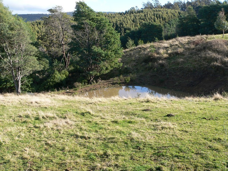 141 O’Reilly’s Road, Winkleigh TAS 7275