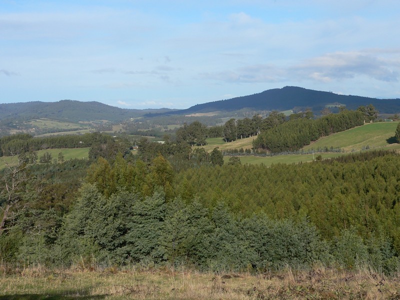141 O’Reilly’s Road, Winkleigh TAS 7275