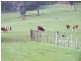 35 Hjorts Road, Exeter TAS 7275