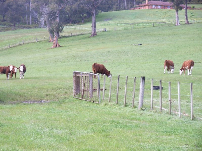 35 Hjorts Road, Exeter TAS 7275