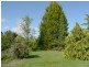 47 Main Road, Exeter TAS 7275