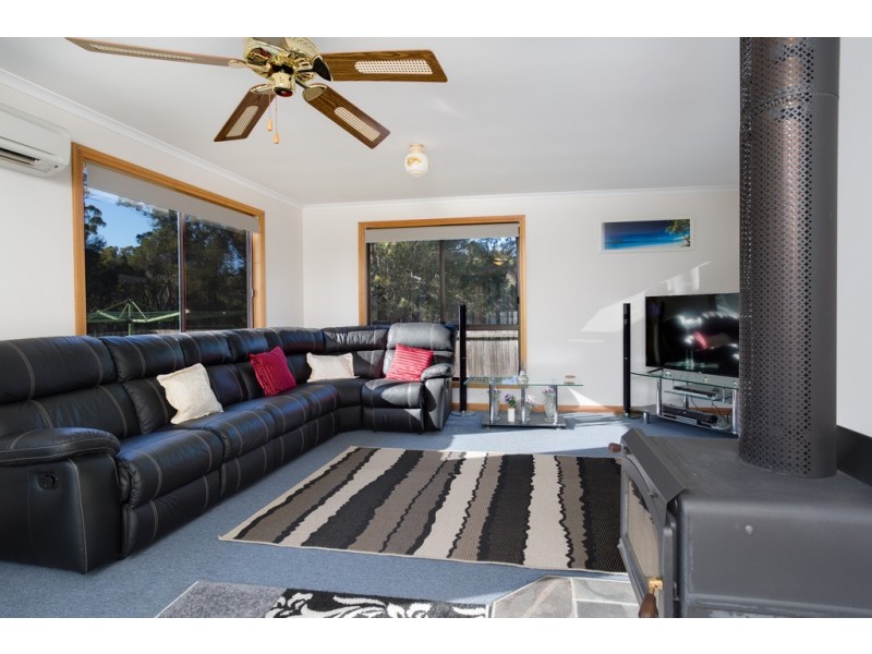 380 Badger Head Road, Badger Head TAS 7270