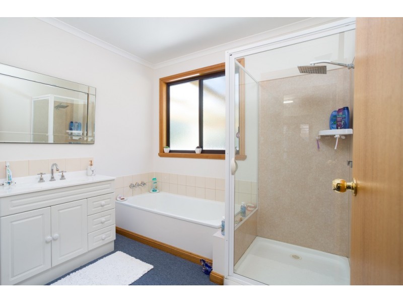 380 Badger Head Road, Badger Head TAS 7270