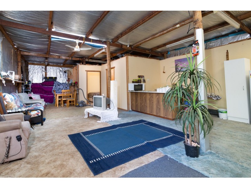 380 Badger Head Road, Badger Head TAS 7270