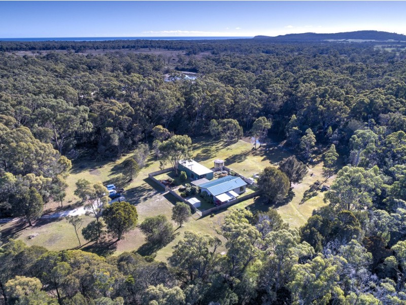 380 Badger Head Road, Badger Head TAS 7270