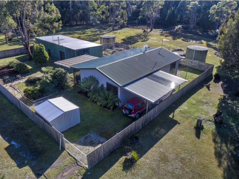 380 Badger Head Road, Badger Head TAS 7270