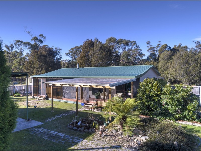 380 Badger Head Road, Badger Head TAS 7270