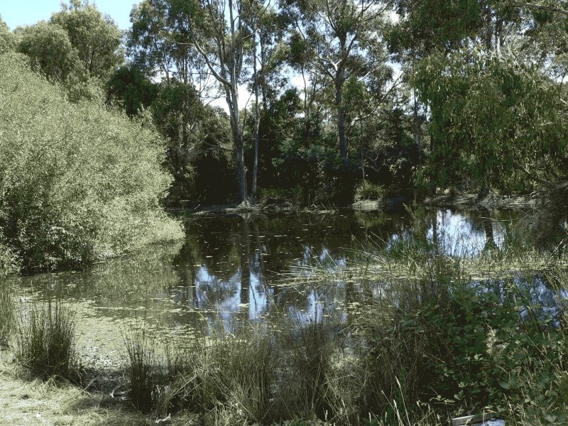 48 Loop Road, Glengarry TAS 7275