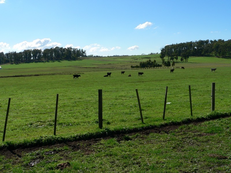 91 Valley Road, Sidmouth TAS 7270