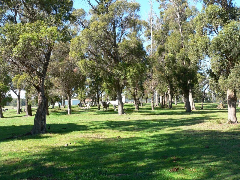 91 Valley Road, Sidmouth TAS 7270