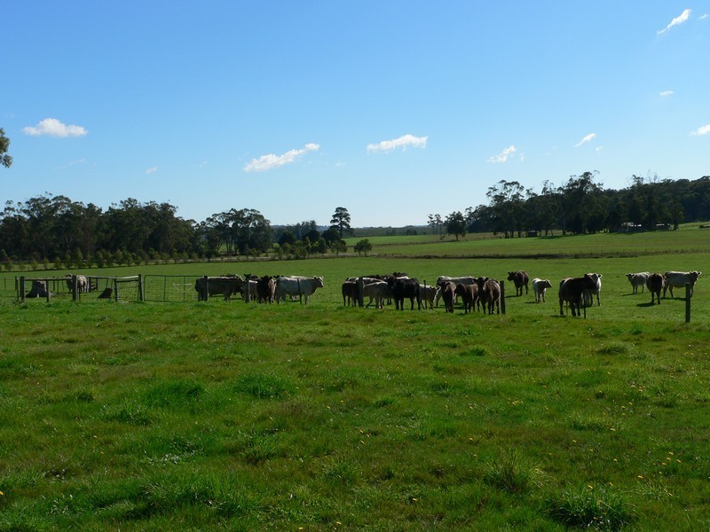 91 Valley Road, Sidmouth TAS 7270