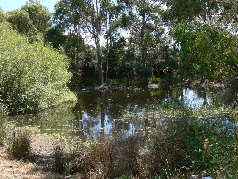 48 Loop Road, Glengarry TAS 7275