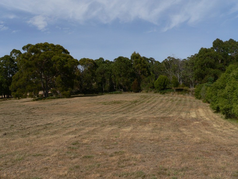 48 Loop Road, Glengarry TAS 7275