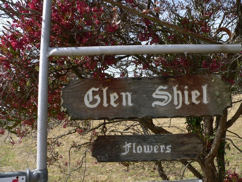 48 Loop Road, Glengarry TAS 7275