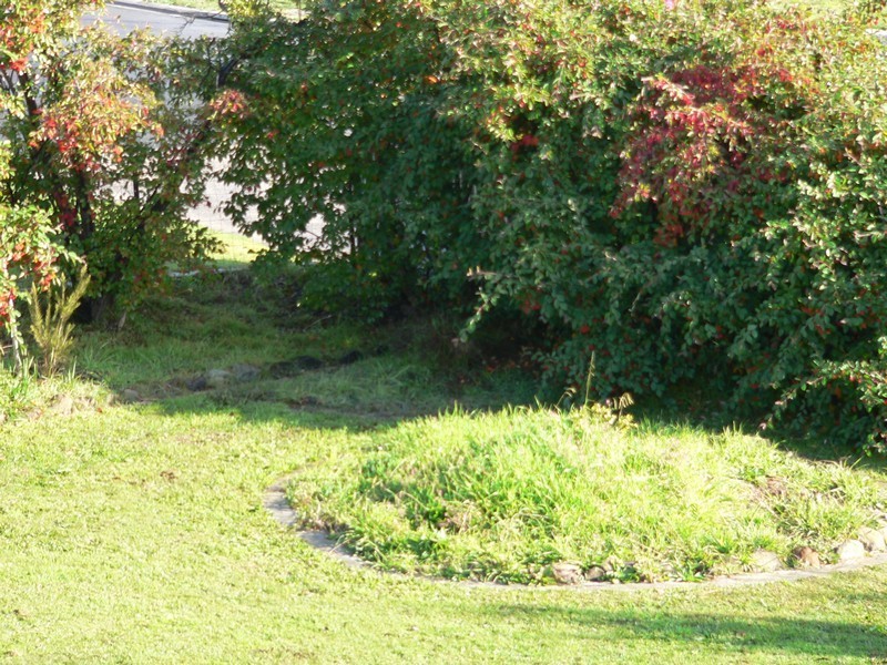 20 Napier Street, Beauty Point TAS 7270