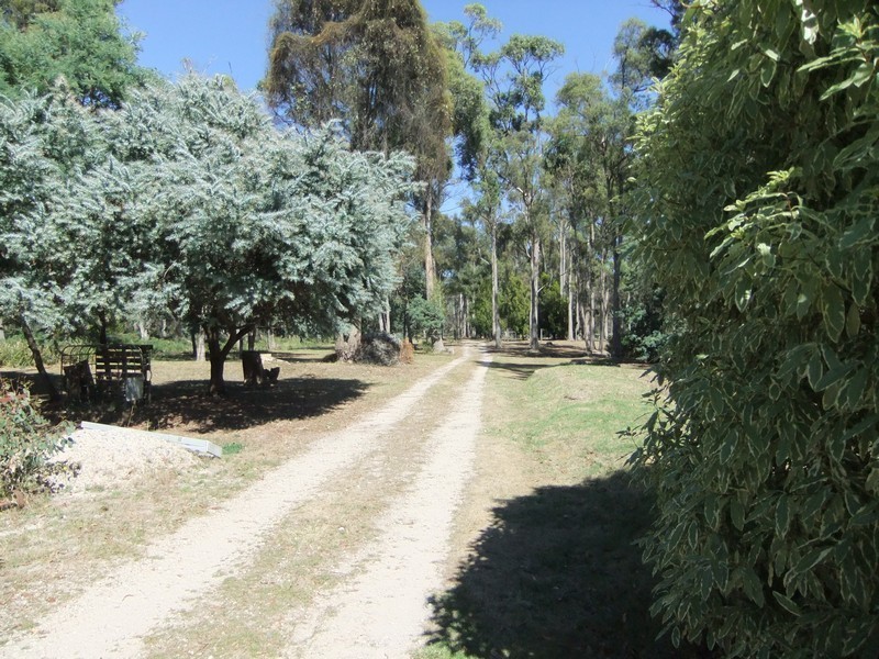 614 Greens Beach, York Town TAS 7270