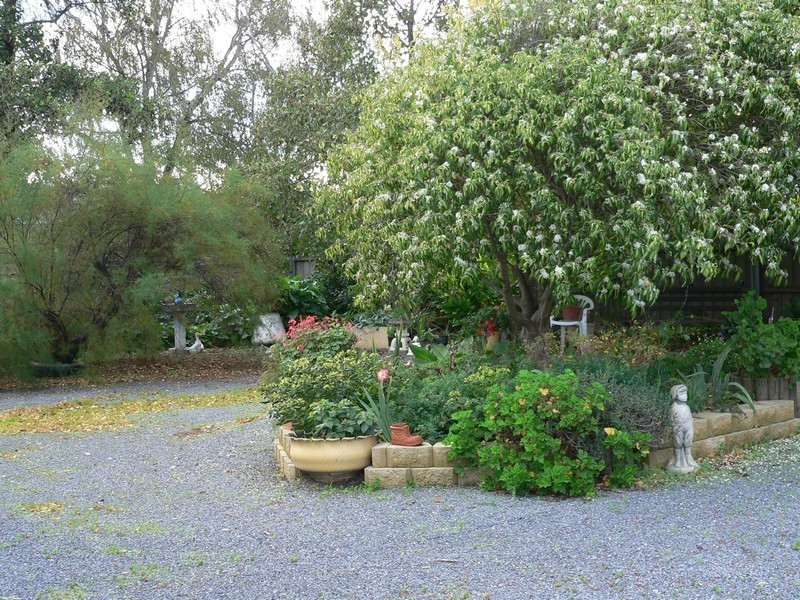 14 Scott Street, Beauty Point TAS 7270