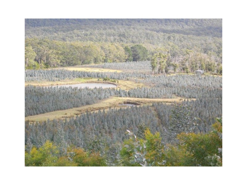 240 Tattersalls Road, Beaconsfield TAS 7270