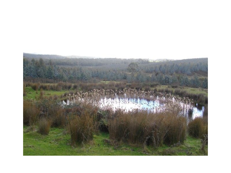 240 Tattersalls Road, Beaconsfield TAS 7270
