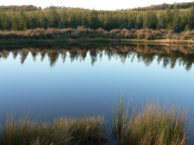 240 Tattersalls Road, Beaconsfield TAS 7270