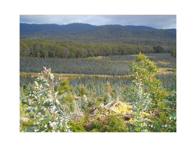 240 Tattersalls Road, Beaconsfield TAS 7270